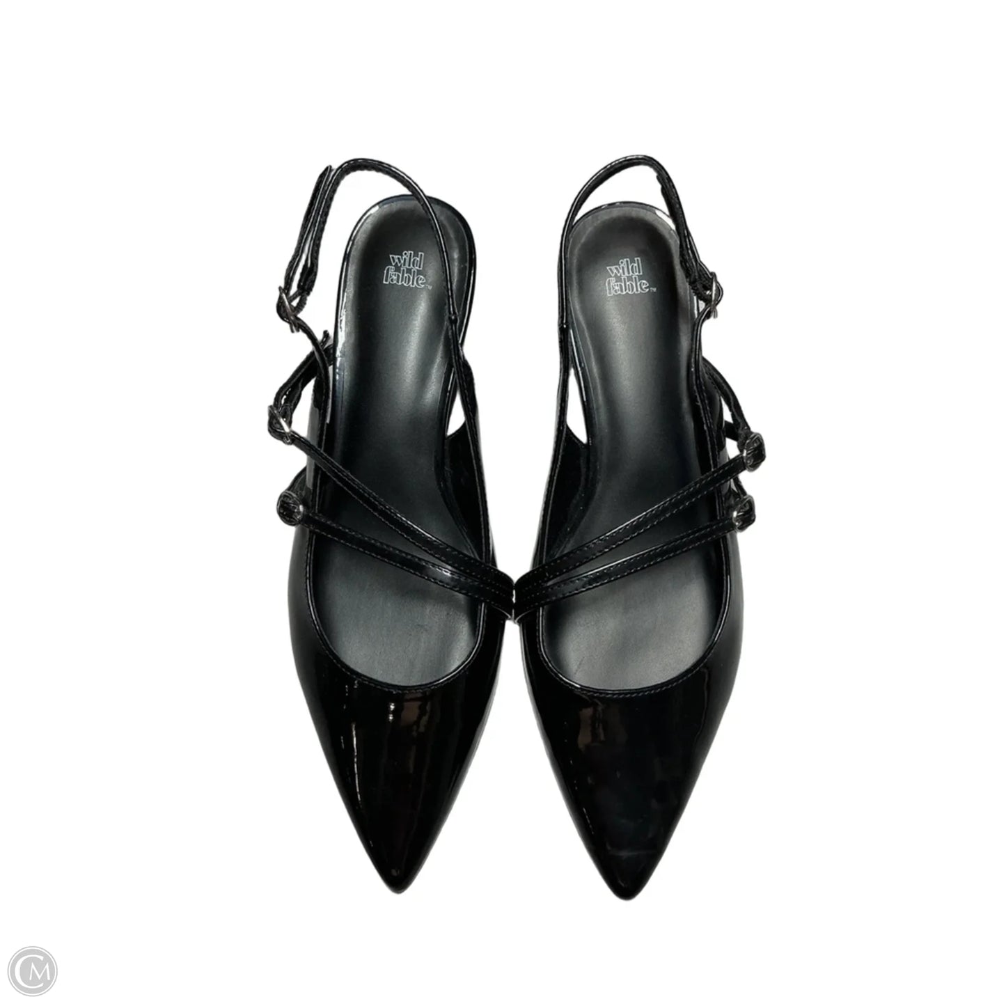 Shoes Heels Kitten By Wild Fable In Black, Size: 9.5