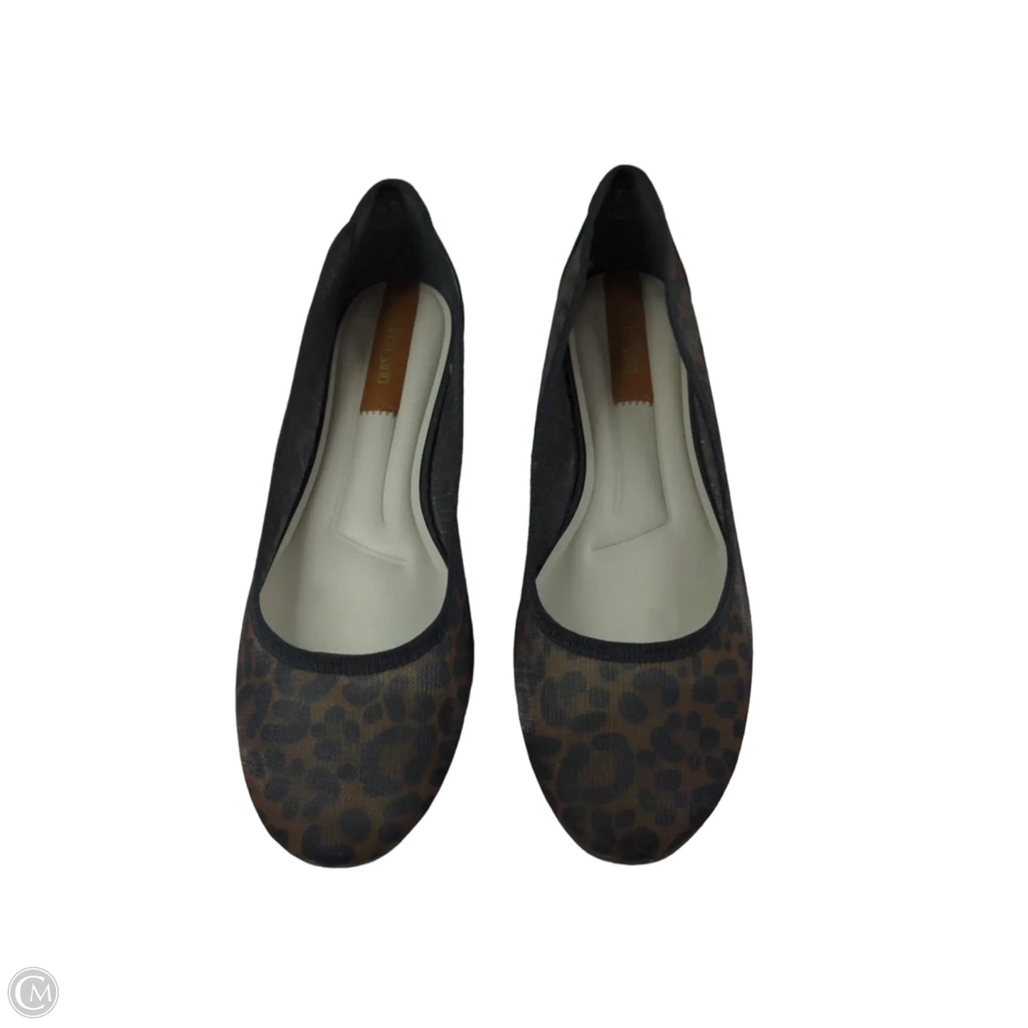 Shoes Flats By Franco Sarto In Animal Print, Size: 9