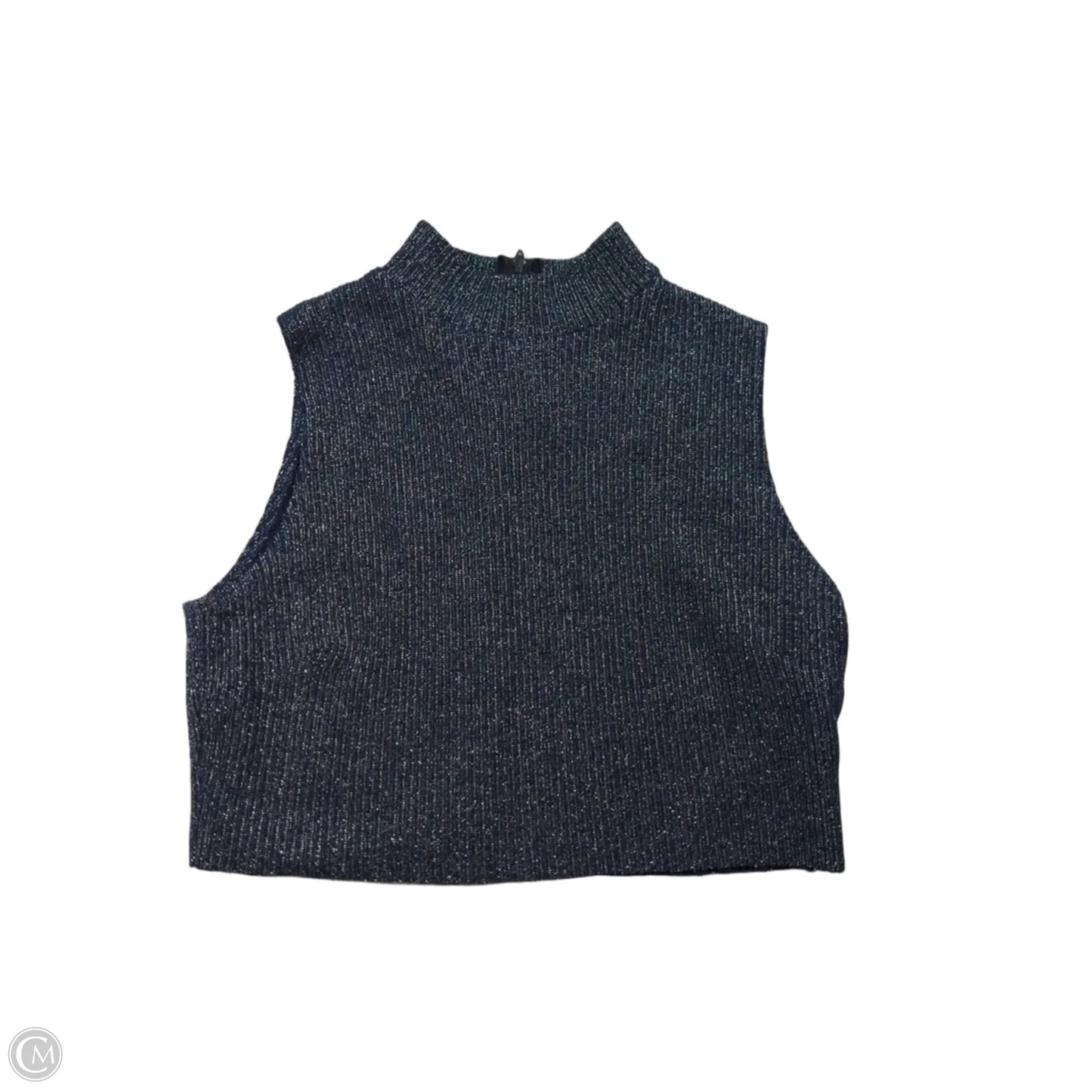 Top Sleeveless By Clothes Mentor In Blue & Silver, Size: S