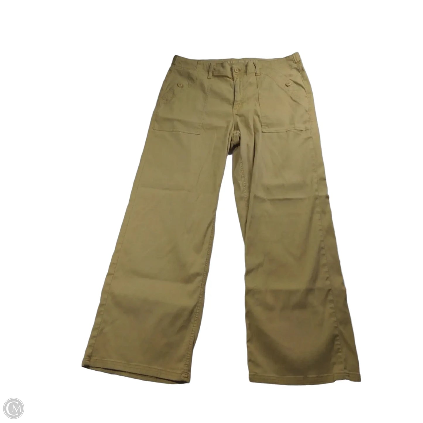 Pants Cargo & Utility By American Eagle In Beige, Size: 16