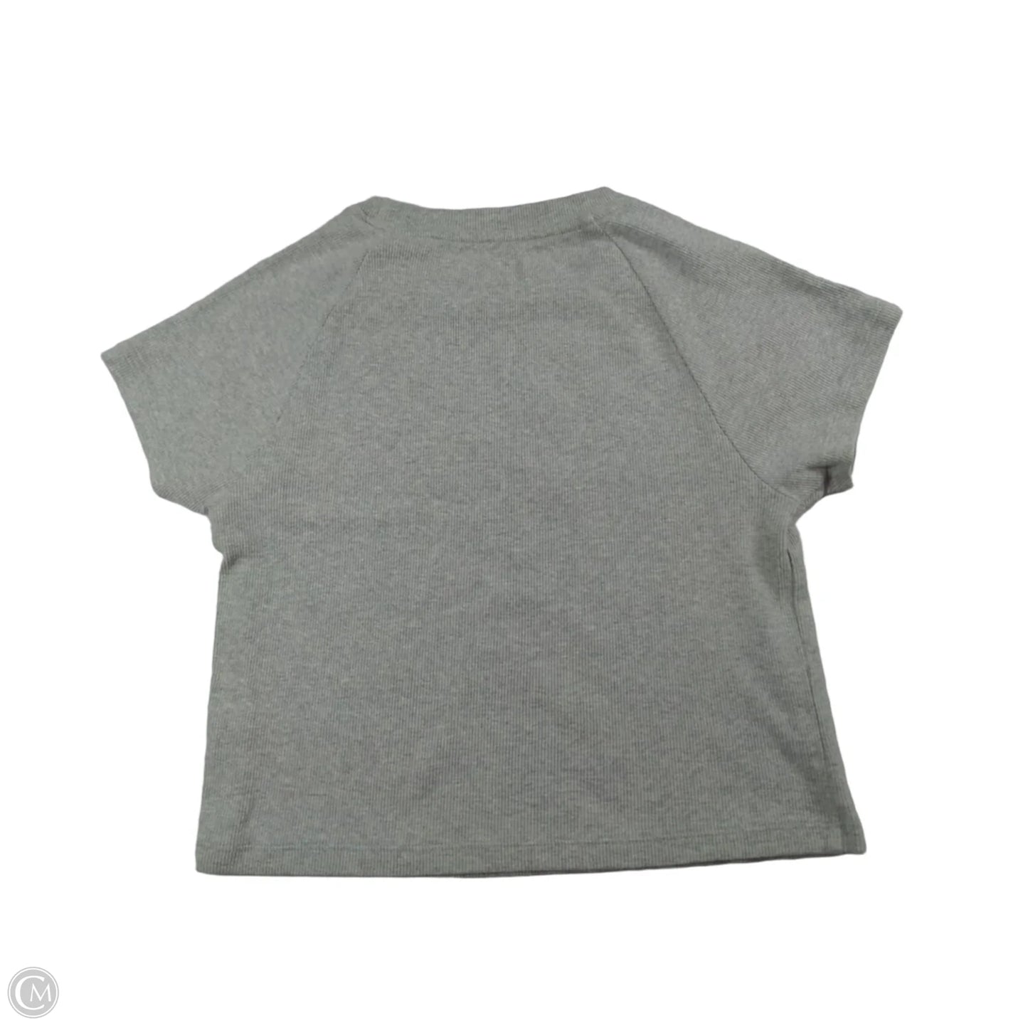 Top Short Sleeve By Aerie In Grey, Size: M